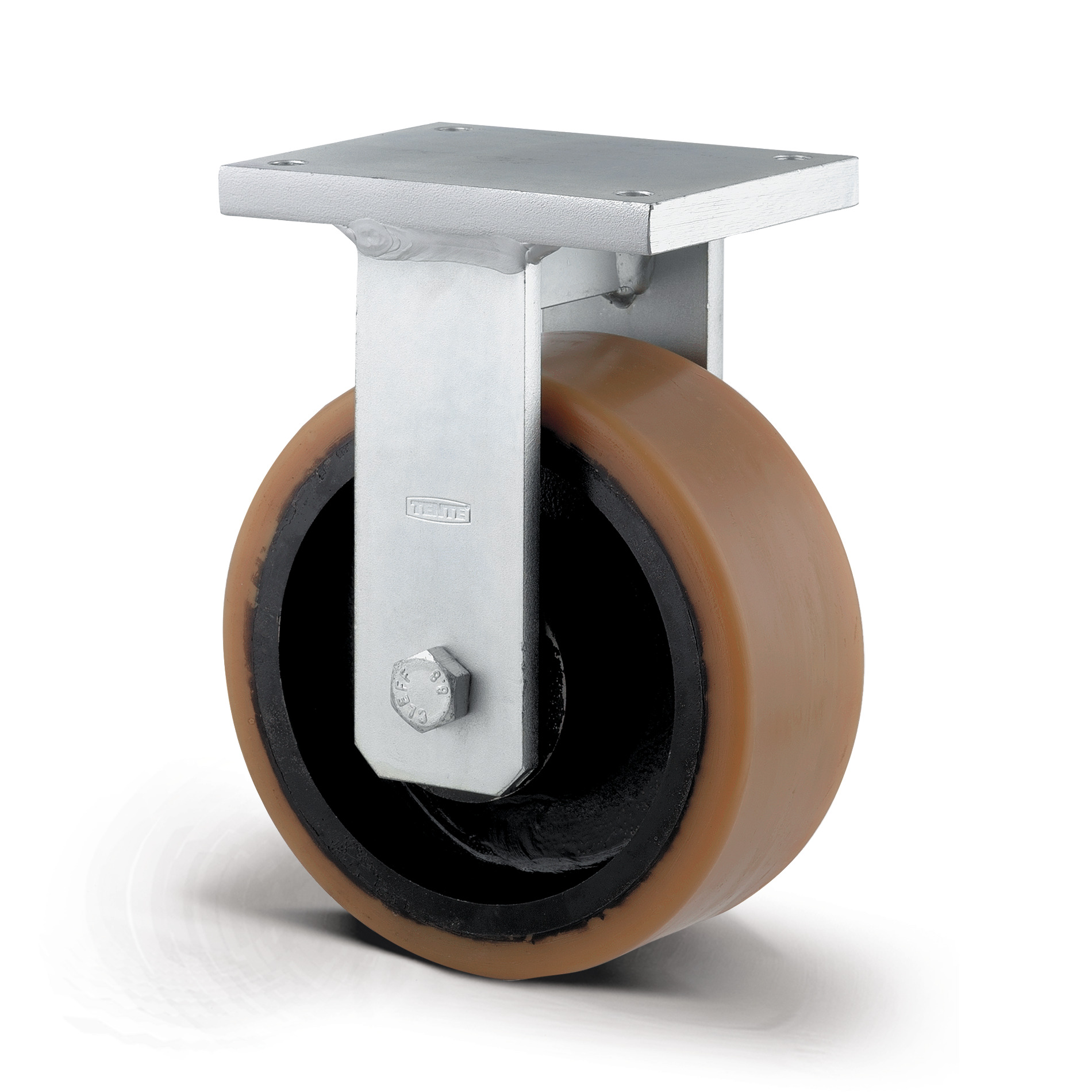 Fixed castor 11.81 in