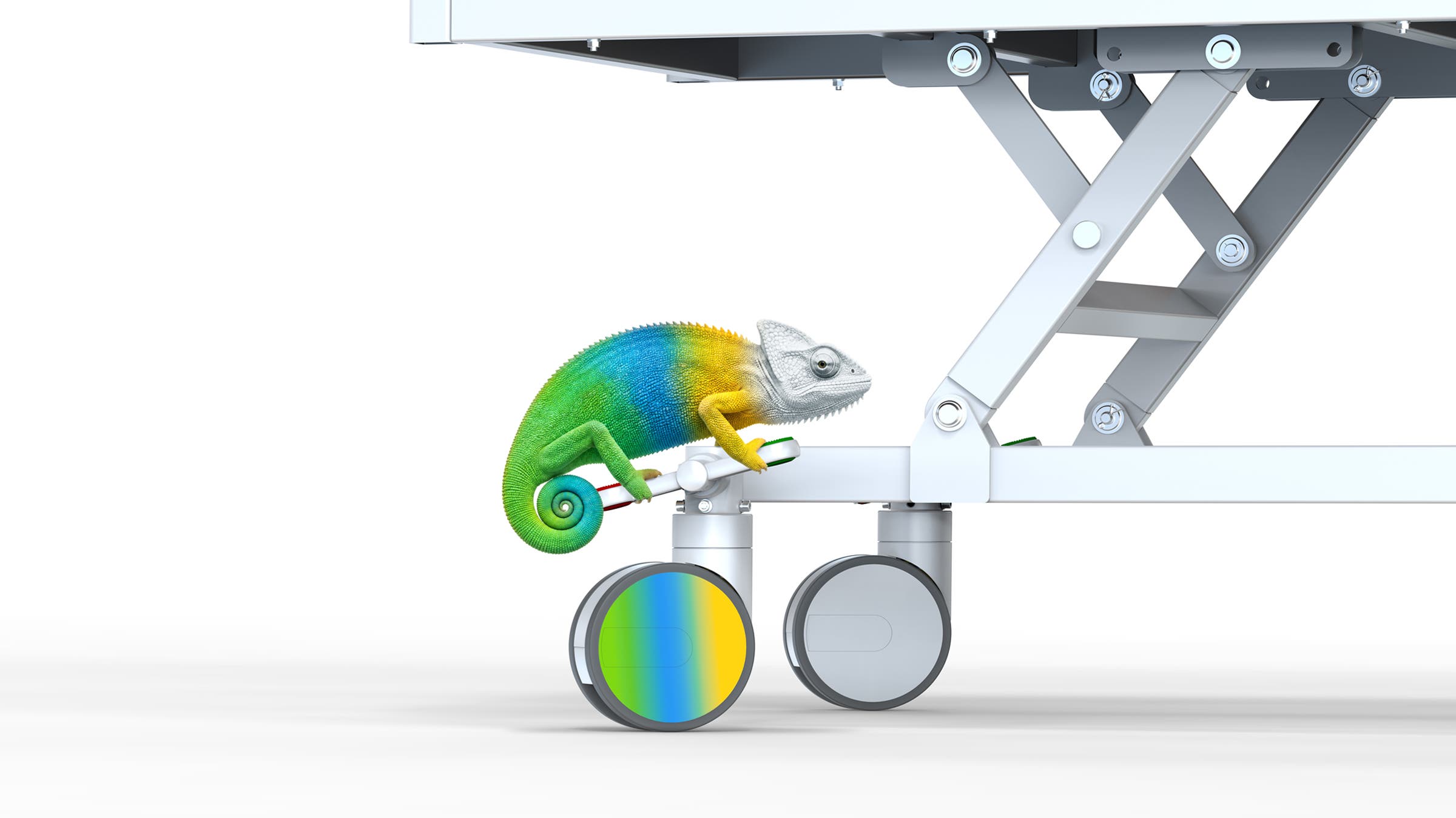 Who wants to be a chameleonaire?